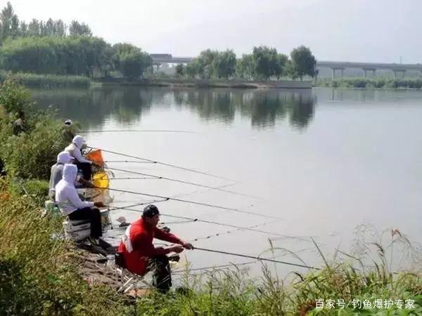 老钓手20年野钓经验分享（绝对干货）