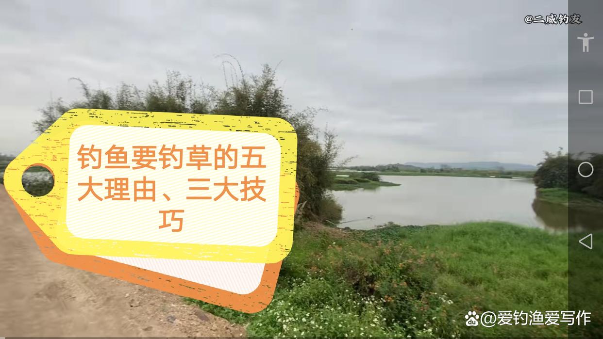 钓鱼要钓草的五大理由、三大技巧