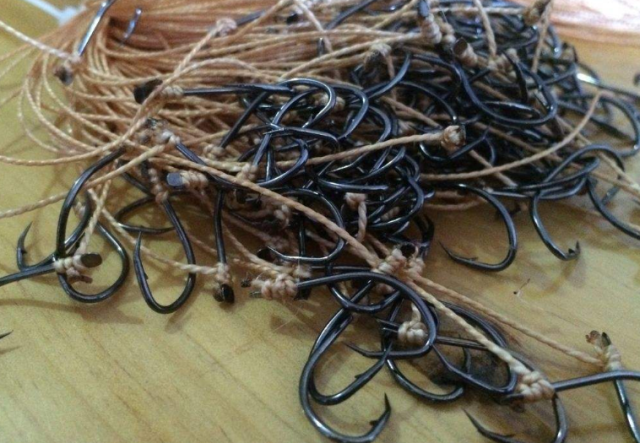 垂钓凶猛的黑鱼时，了解了这些垂钓技巧以后，保证会满载而归！