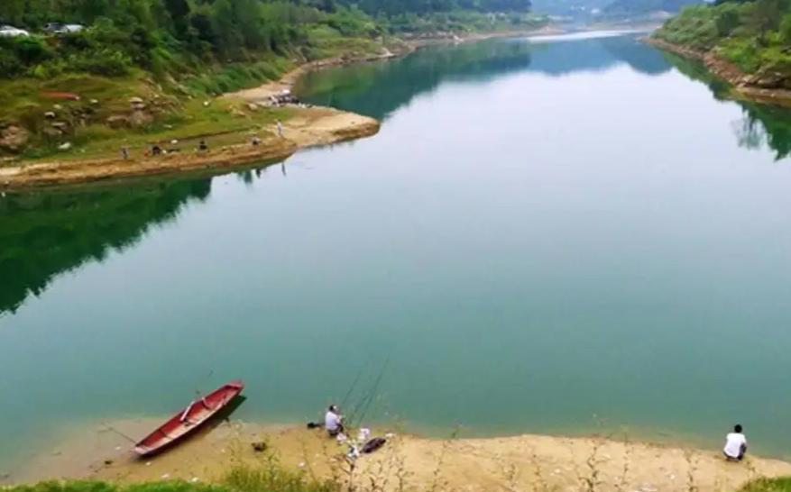 夏季钓鲤鱼，这三种钓位很“藏鱼”，找对位置就算成功了一半