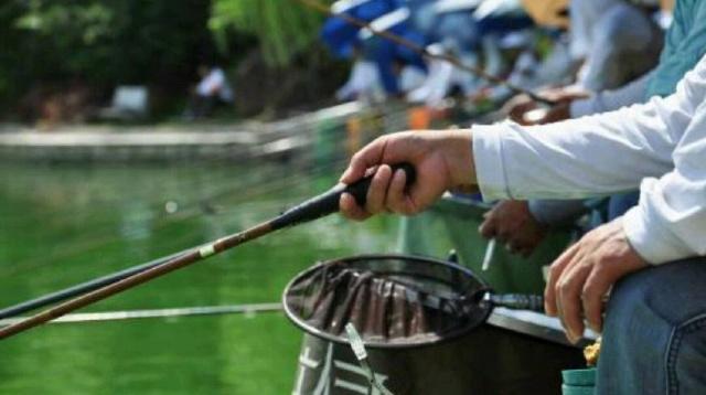 什么季节垂钓罗非鱼最好？