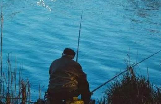 春季钓鲫鱼，钓黑鱼的几个小诀窍，值得收藏！