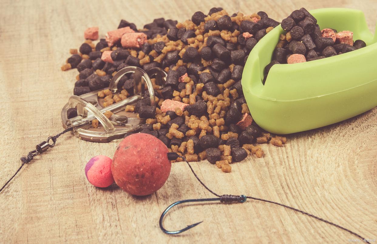 野钓鲫鱼饵料选的好，鱼获自然少不了