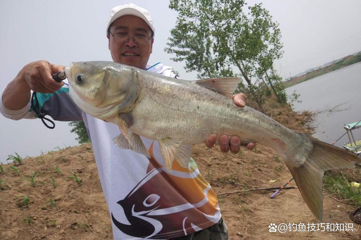 深秋钓鲢鳙的4个要点，南方和北方有显著的区别