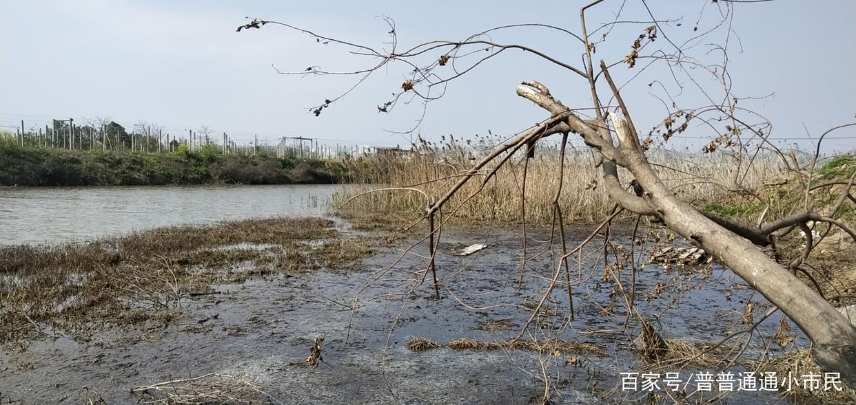 野钓钓点大分享（台州篇）