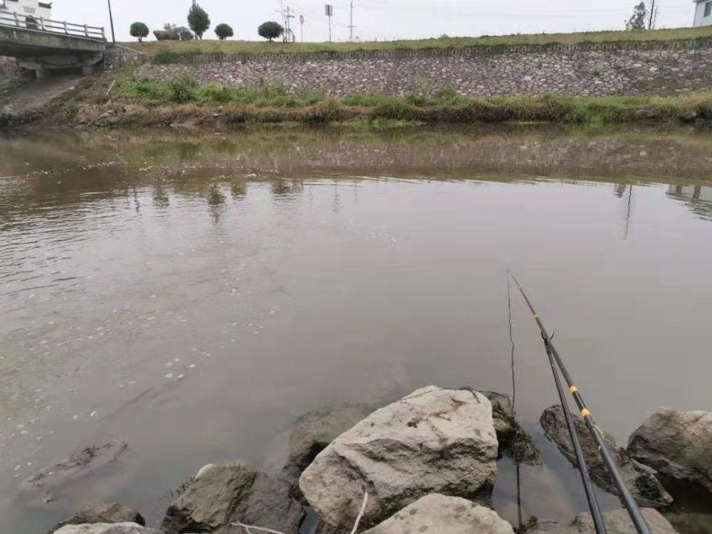 野钓窝里没有鱼？钓位选择是关键。找好钓位，鱼获翻倍