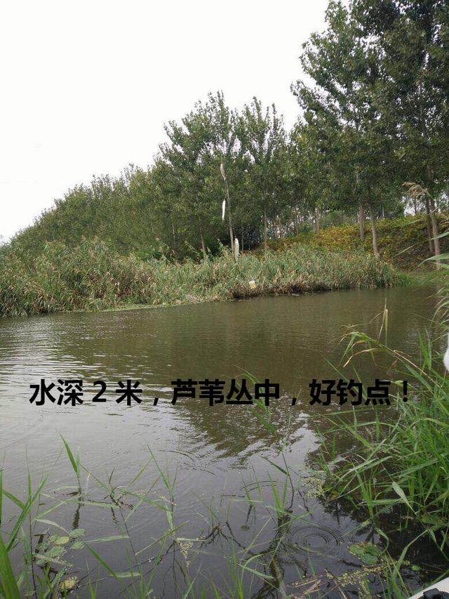 5张野钓实拍图告诉你：哪里才是钓鱼人孜孜以求鱼又多的好钓点！
