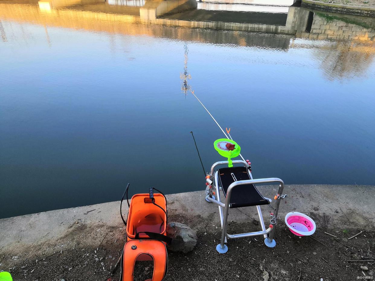 仲春之后钓鲢鳙，这五个核心技巧要掌握，巧妙运用，下竿就是口！