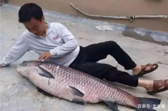 2011年他在水库钓到一条78斤的青鱼，结果2天后卖出3000元