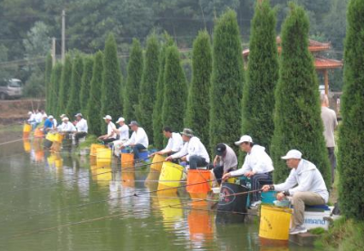 想要在野外钓上鲢鳙，这些小技巧千万不要错过，让你有大收获！