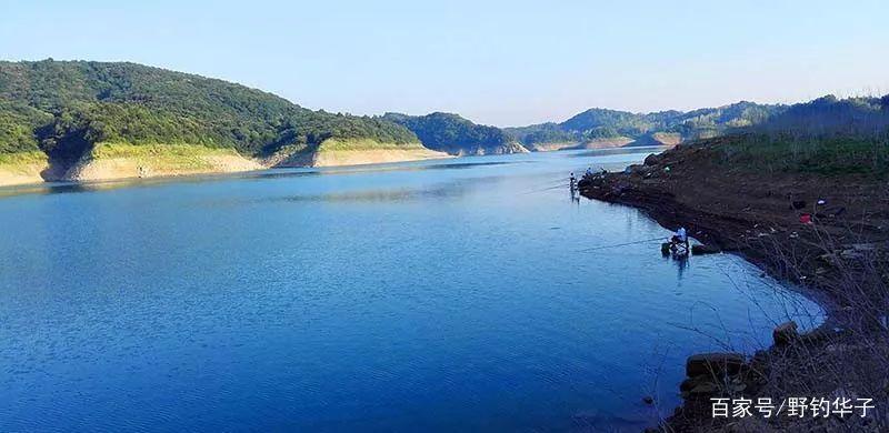 野钓怎样选择溶氧高的钓点？（强烈推荐）