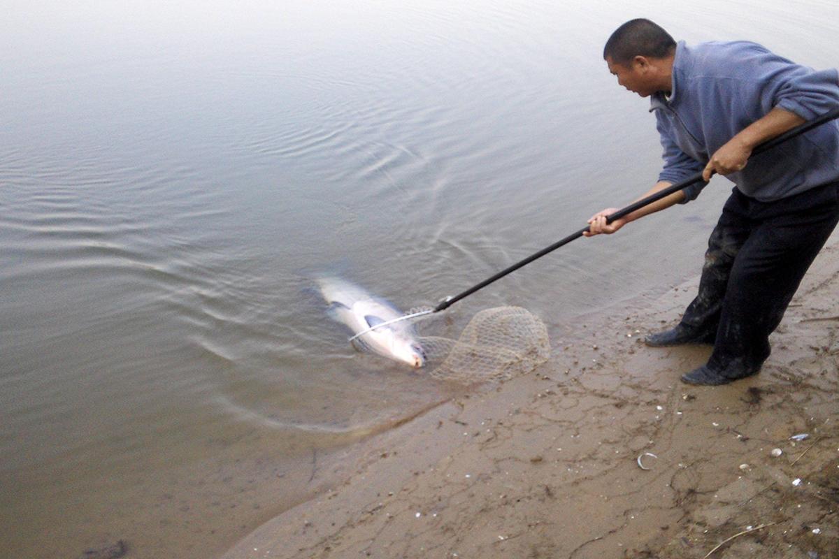 垂钓青鱼：不开口，经常切线问题应对方法分享