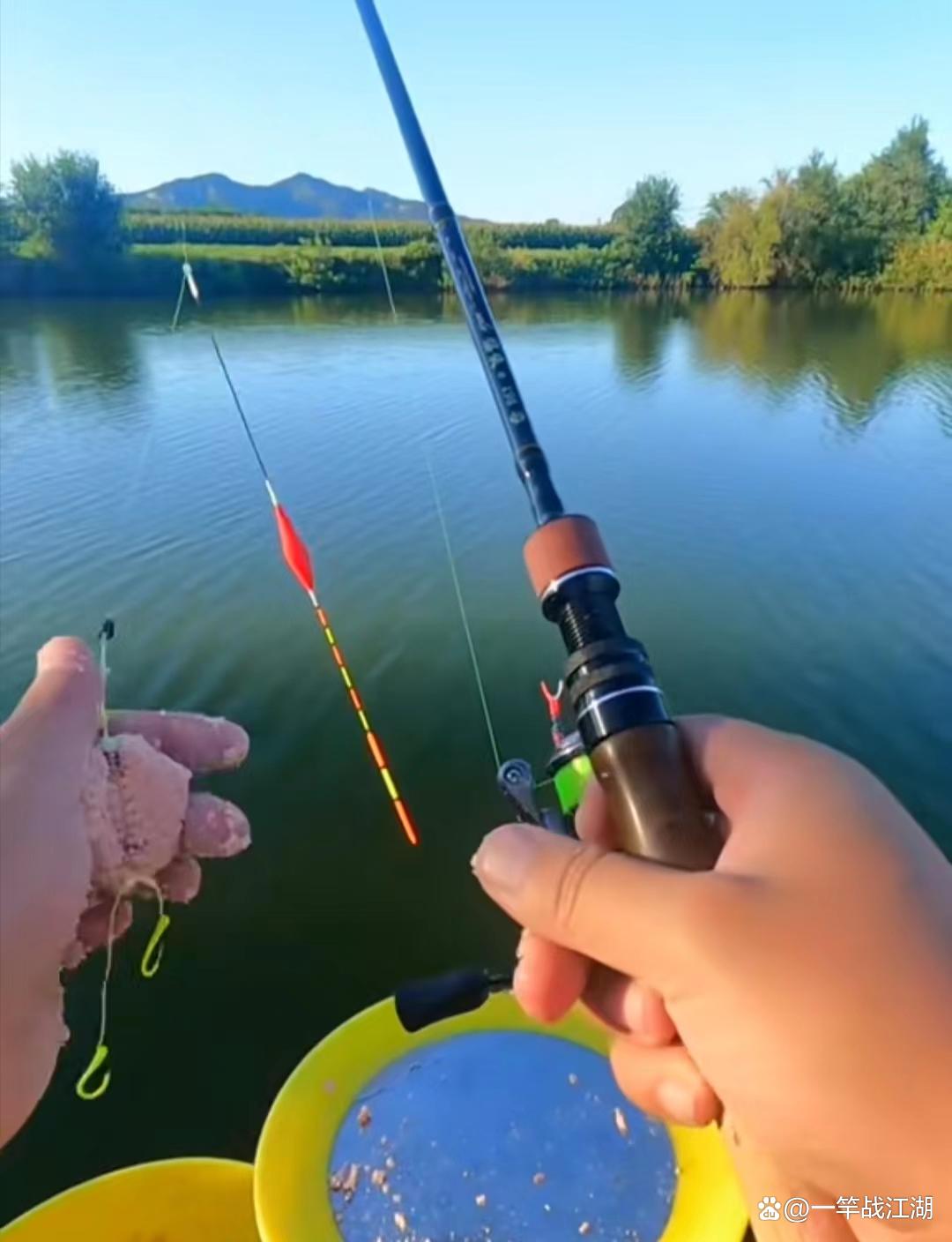 不相信路滑钓鲢鳙？找对了方法很快爆护，那些用长竿的眼红极了