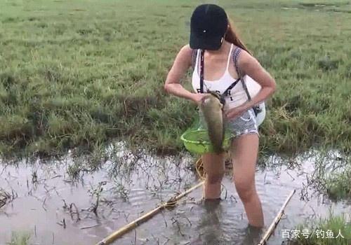 黑鱼这么钓爽死了，多亏用了这4招，一天不到鱼获就比上次多几倍