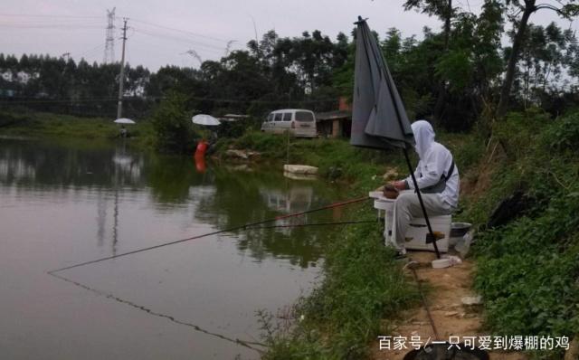 春季作钓青鱼的小知识，学会这些小技巧，保证你渔获满满