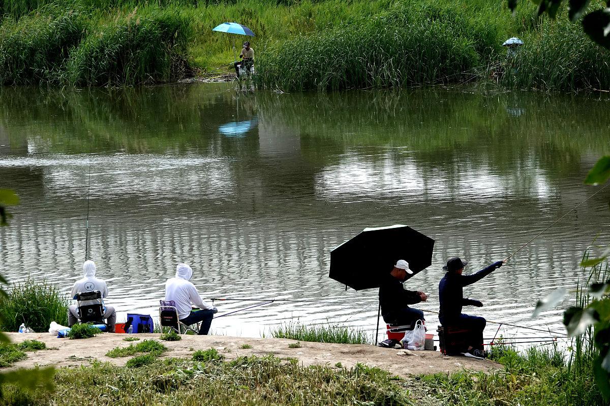 钓鲫鱼了解这几点，你肯定比别人钓得多！