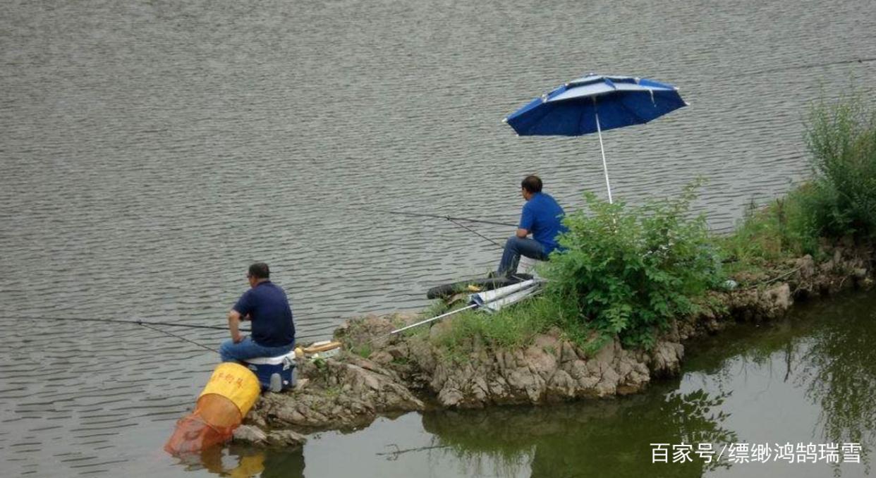 青鱼不好钓？那是你没有掌握这些方法技巧，学会了都能钓到