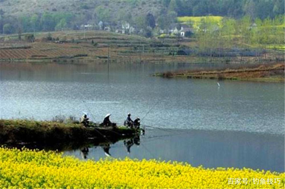 春钓鲤鱼，钓位选择的3大策略，找鲤鱼扎堆的地方，轻松连竿上鱼