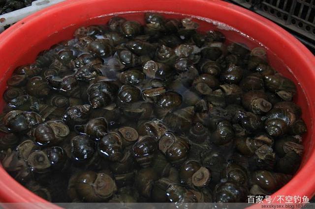 如果你也喜欢野钓大青鱼，“三要三不要”就必须要清楚