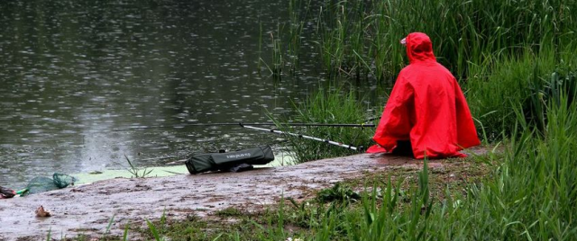 全面了解罗非鱼的钓法，知道这些小技巧，鱼儿上钩不是难事
