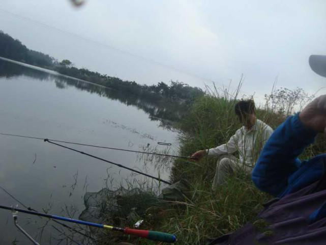 冬天如何钓罗非？我的方法很简单，运气好的时候能钓一二十斤