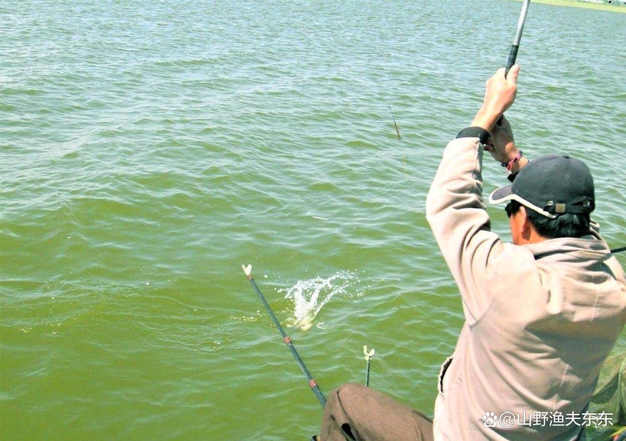 立冬后野钓，钓点应该选这些，都是鱼儿扎堆的地方