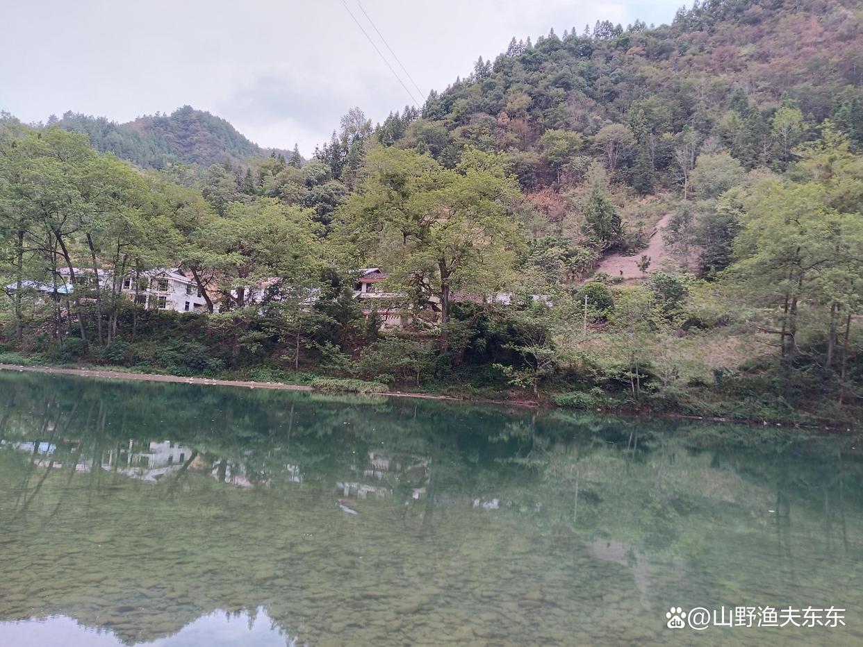 秋天野钓看似几种没有鱼的钓点，却是藏鱼的地方，遇到不要错过