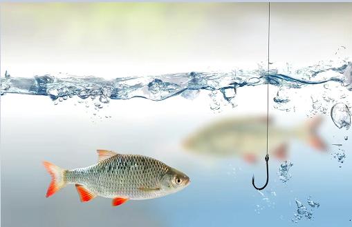 钓鲫鱼时使用“截杀”钓法，其乐无穷，同时是增加渔获的利器