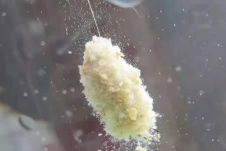 三伏天一到，鲢鳙鱼就不咬钩，庆幸我有这套百试不爽的钓法，过瘾