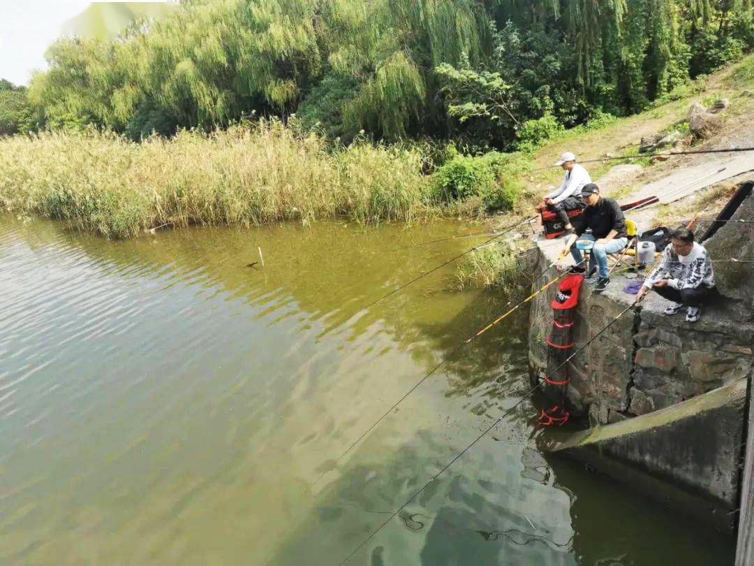 春季钓鲫鱼，牢记一钓二不三勤，照做的钓友渔获都不差