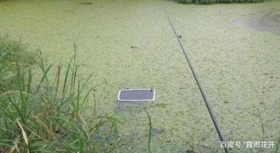 黑鱼太凶猛不好钓？教你几招，学会保证有收获