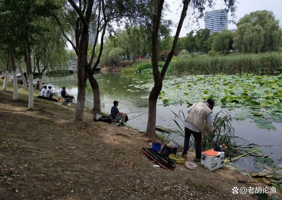 史上最全！野钓鲫鱼的13大秘籍！包括季节、钓位、天气、作钓技巧