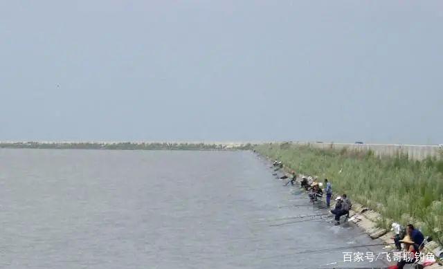 夏季太适合钓黑鱼，6个技巧让你轻松上鱼