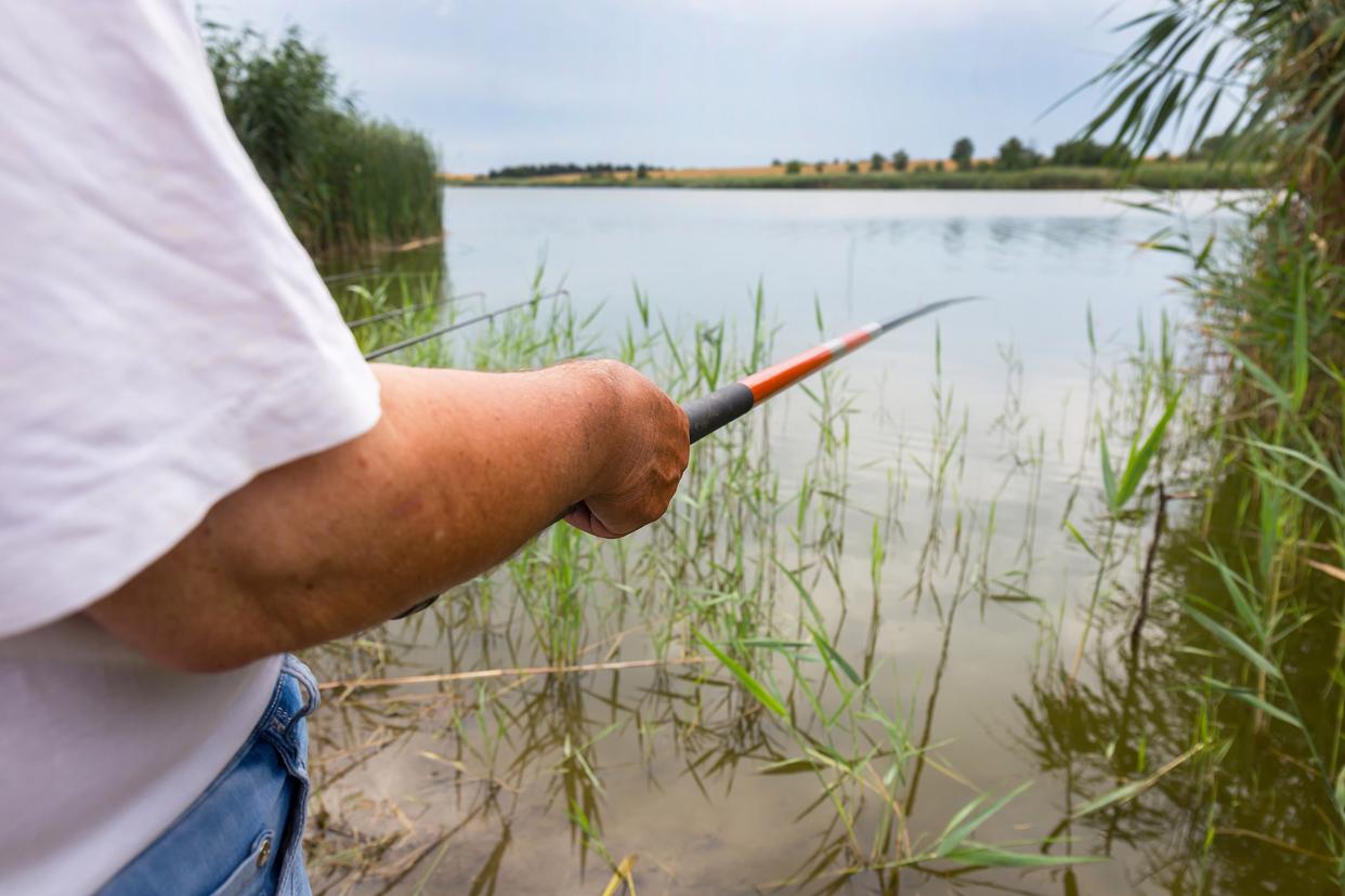 《从小白到钓鱼高手！学会这五个技巧，野钓鲤鱼轻松上手》