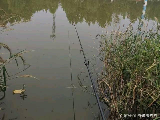 手竿垂钓黑鱼三种方法，值得收藏，从此不会空手而归