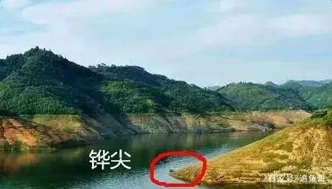 鱼哥谈野钓青鱼