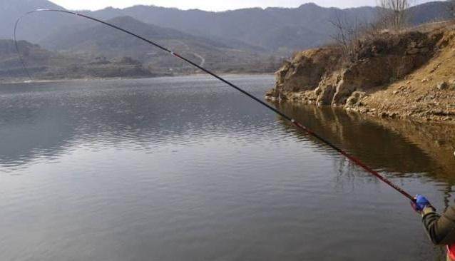 罗非怎么钓，学学钓友这几招，轻松变钓鱼高手！