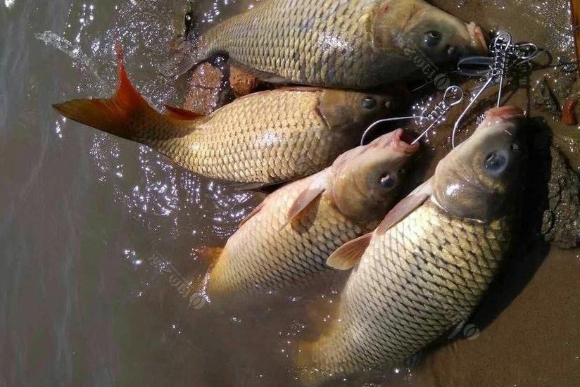 钓鱼：饵料和装备只是基础，想钓到鱼就要学会“找鱼”