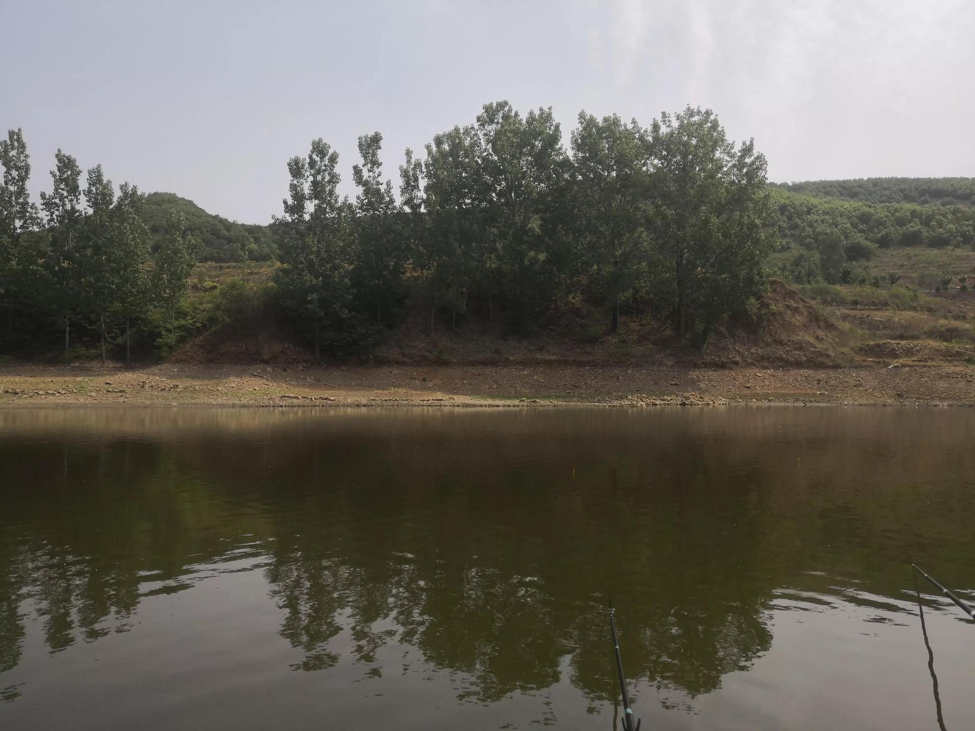 近期的一次野钓实战，完美地验证了钓点选择要“静中找动”