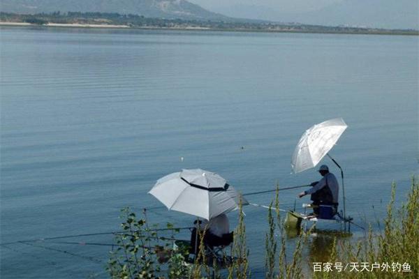 夏季钓青鱼，用这几招就对了