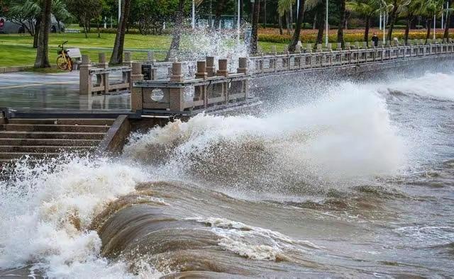 手竿钓鲤鱼用什么鱼钩最合适？