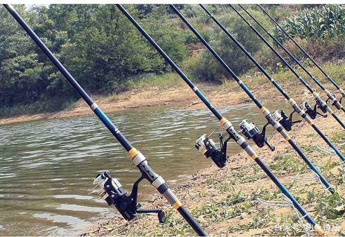 立秋后，用抛竿钓大鱼很简单，教你3个绝招，青鱼草鱼争着上钩！