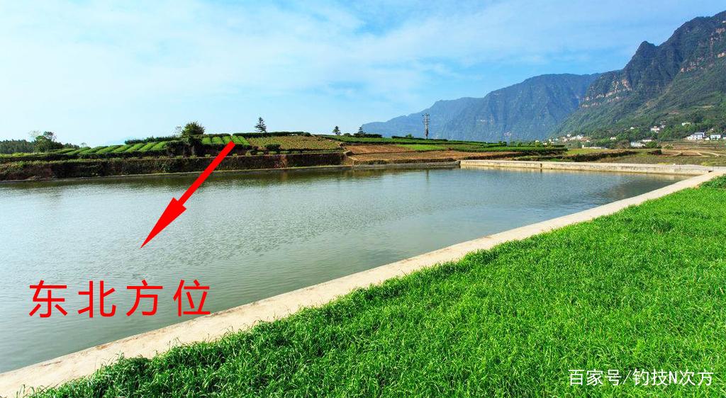作钓青鱼实战招法，轻松助你钓获青鱼