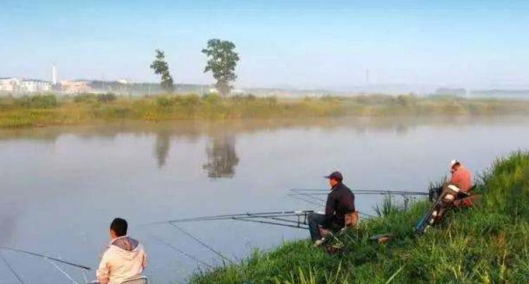 新手钓鲢鱼攻略：这5点“技巧”一定要牢记！教你快速出鱼