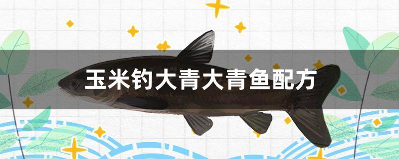 玉米钓大青大青鱼配方