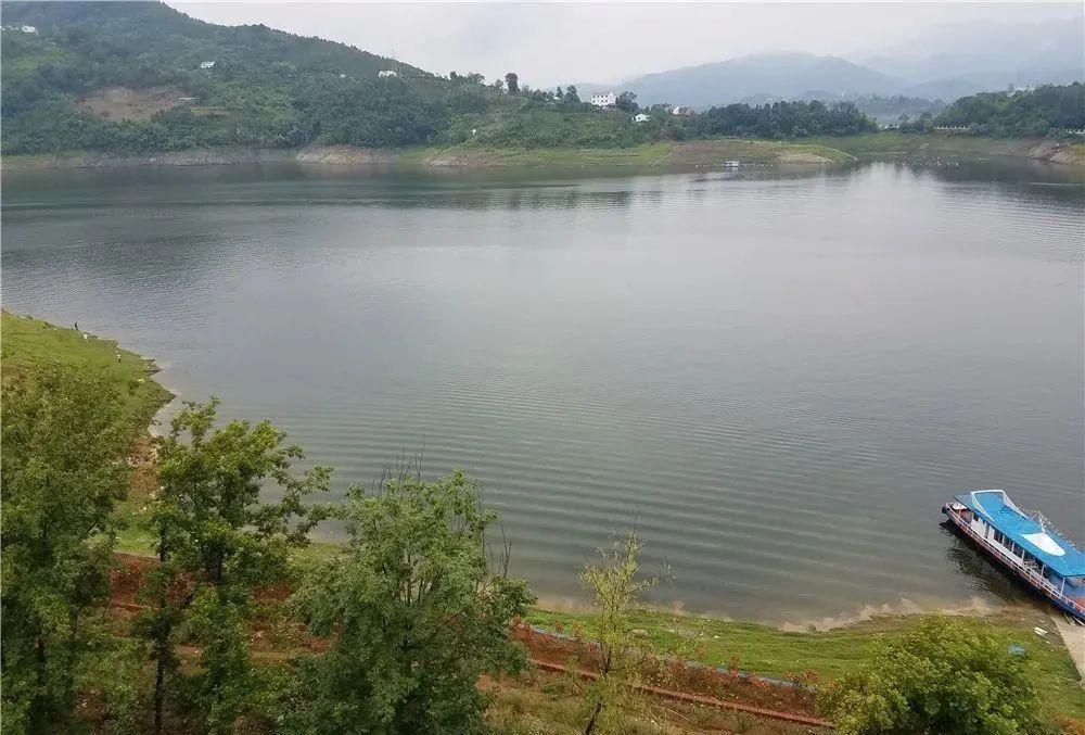 实打实的钓鲤经验，都是干货，不扯虚的！