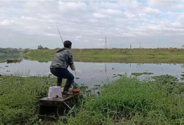 夏季鲤鱼很难钓？送你一套“钓鲤攻略”，鲤鱼追着钩子咬