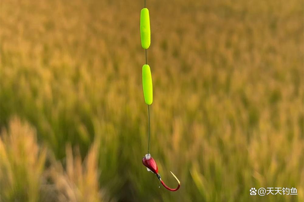 野钓鲫鱼，还是要看这种钓法，狂拉大鲫不含糊