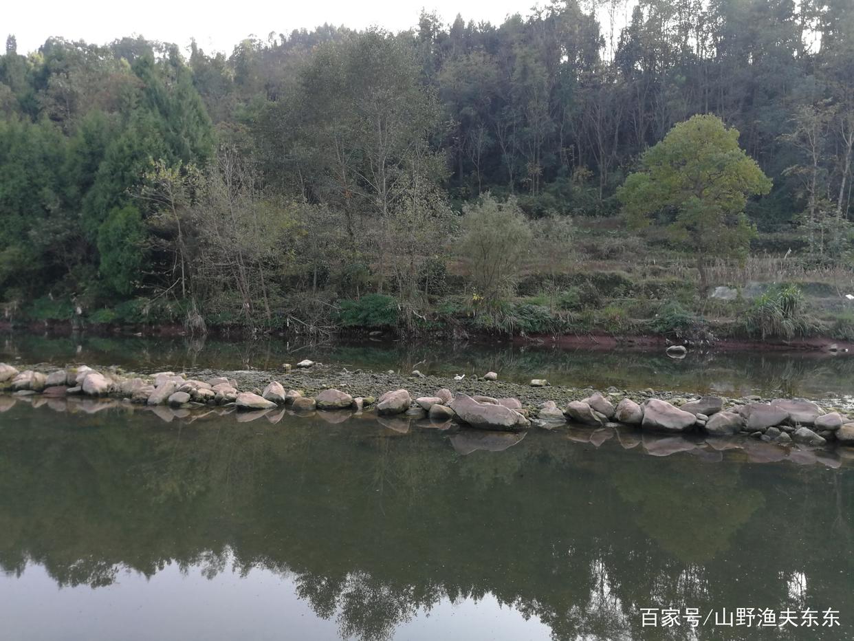 春钓大鲤鱼，这四招必备