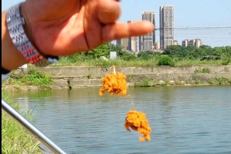 春天不要只钓鲫鱼，试试这鲢鳙钓法，中鱼率高，每次钓完都很过瘾